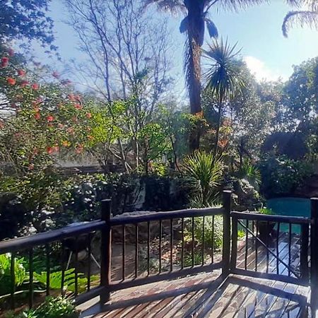Pantera Lodge & Cheetah Cottage 约翰内斯堡 外观 照片