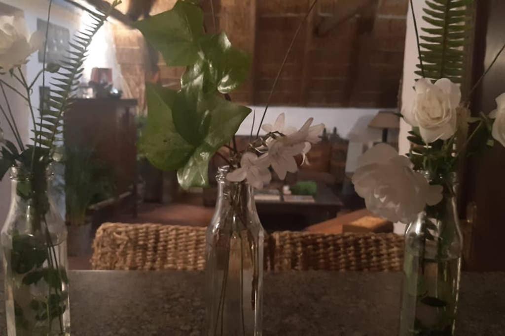 Pantera Lodge & Cheetah Cottage 约翰内斯堡 外观 照片