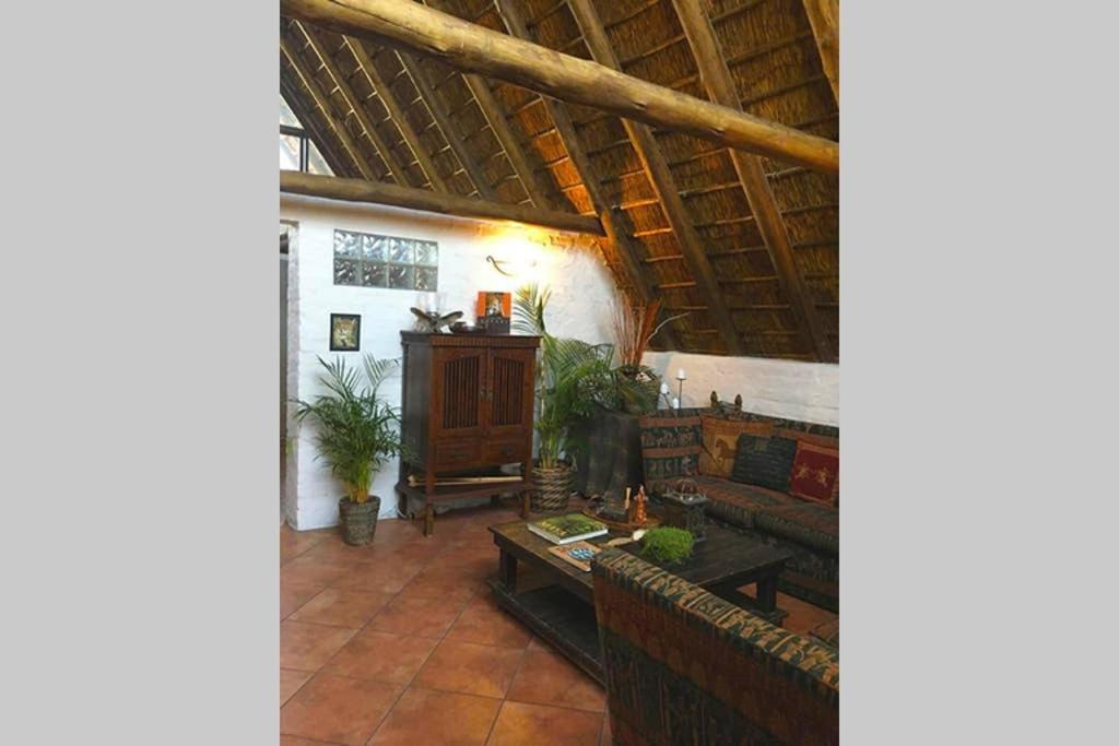 Pantera Lodge & Cheetah Cottage 约翰内斯堡 外观 照片